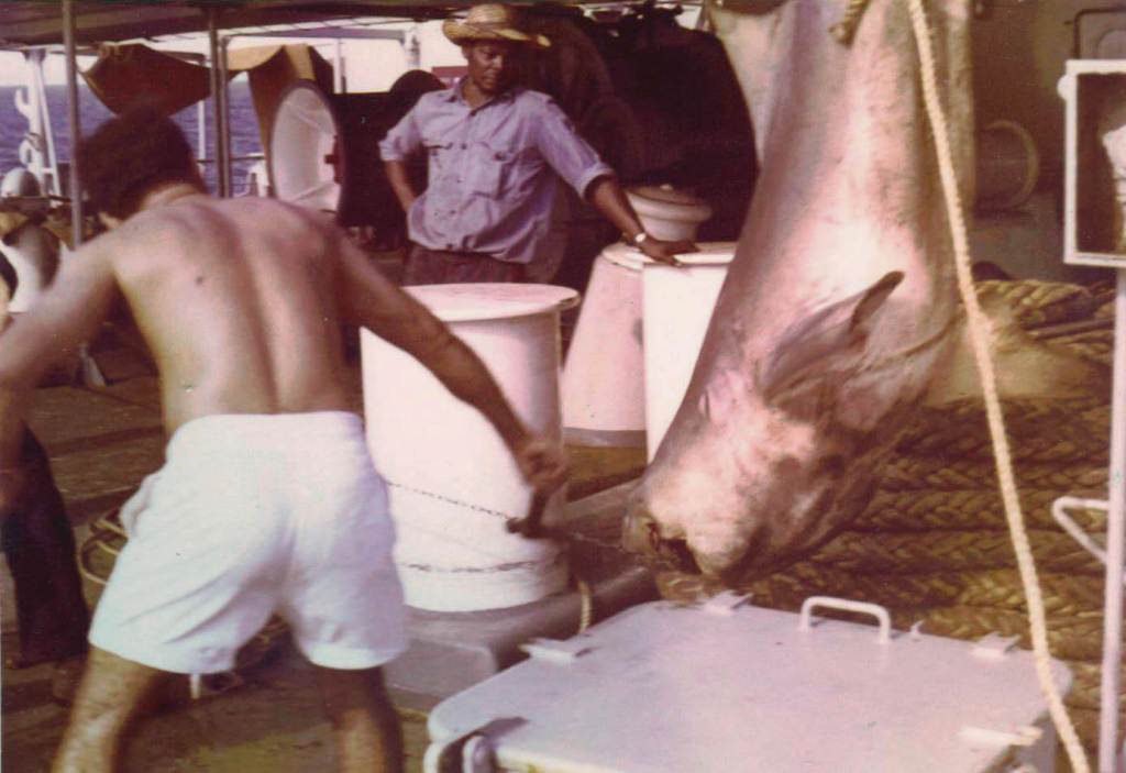 Derwentdale
Beira Lunch
