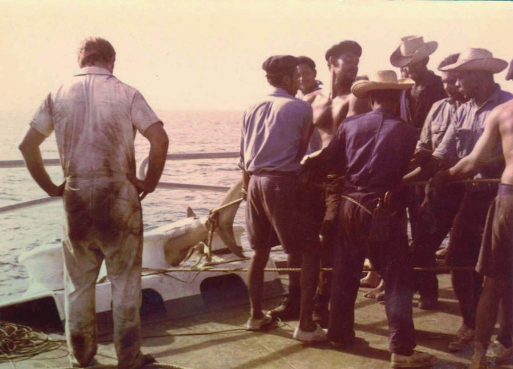 Derwentdale
Shark catch off Beira
