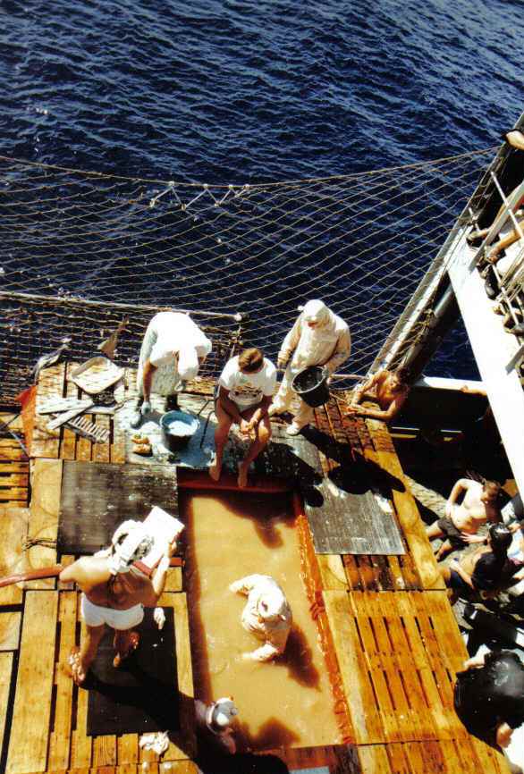 Roy Smith Crossing The Line 
Fort Grange 1991 
